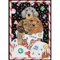 Pipsqueak Productions Pipsqueak Productions C809 Dachshund Holiday Boxed Cards C809